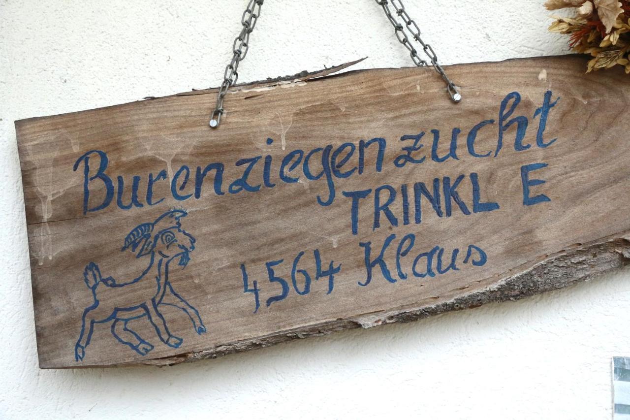 לינה וארוחת בוקר Micheldorf in Oberösterreich Hof Zur Steinwaend מראה חיצוני תמונה