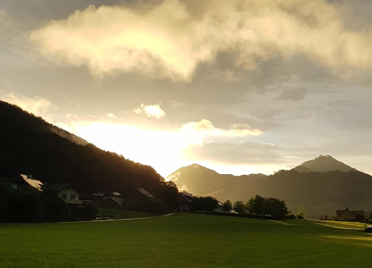 לינה וארוחת בוקר Micheldorf in Oberösterreich Hof Zur Steinwaend מראה חיצוני תמונה