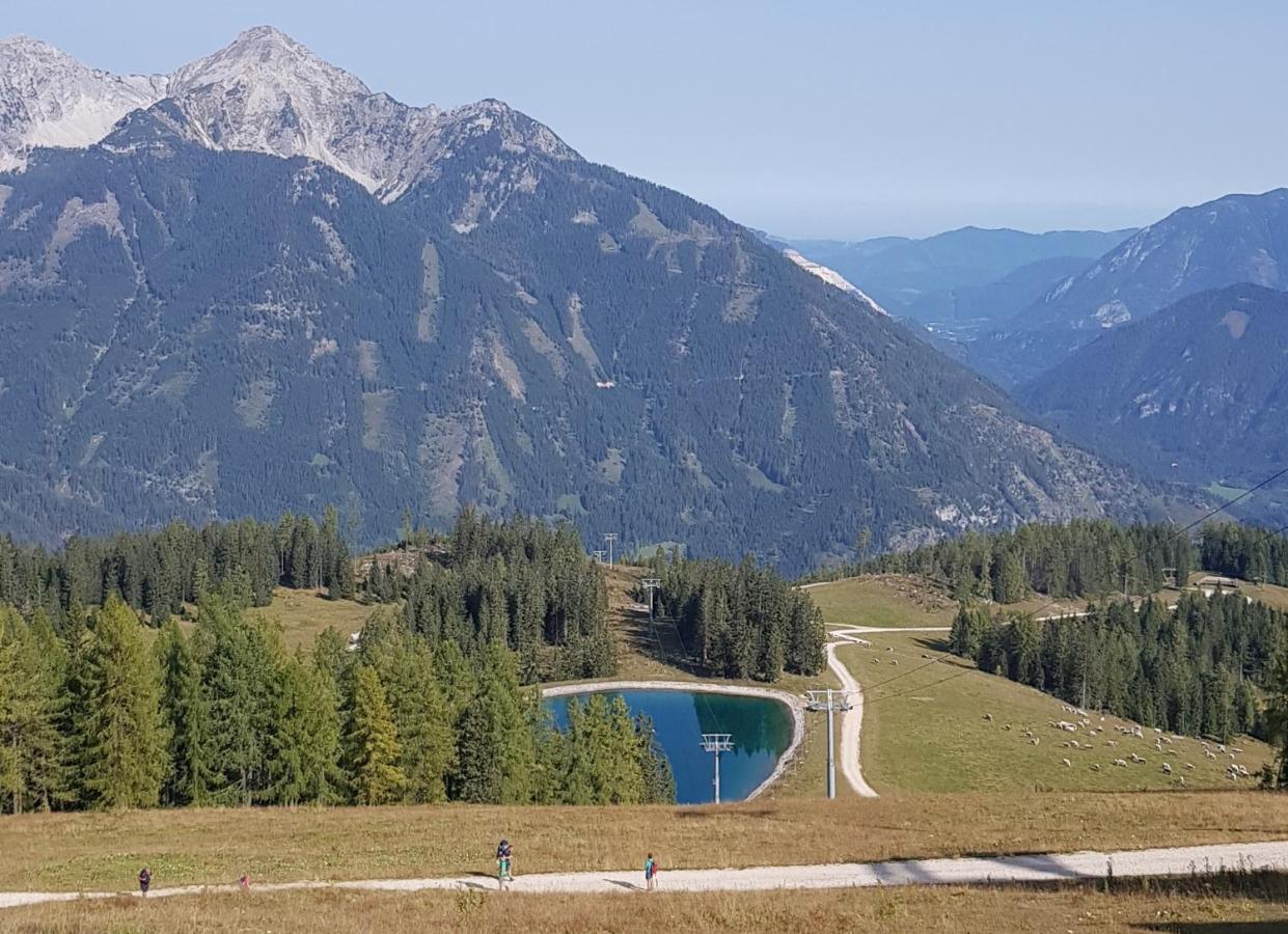 לינה וארוחת בוקר Micheldorf in Oberösterreich Hof Zur Steinwaend מראה חיצוני תמונה