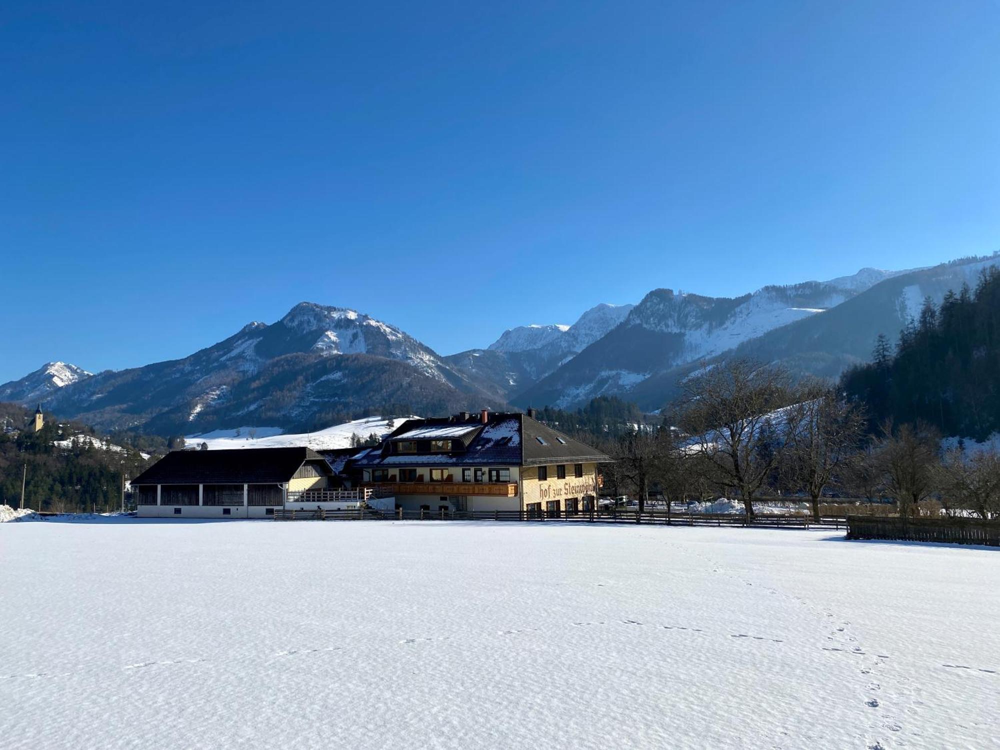 לינה וארוחת בוקר Micheldorf in Oberösterreich Hof Zur Steinwaend מראה חיצוני תמונה